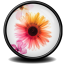 Illustrator CS2 icon